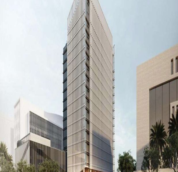 Zayed City Offices